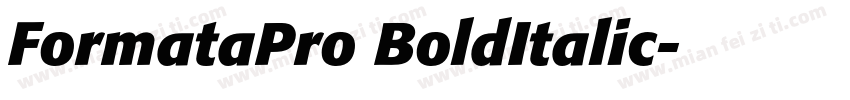 FormataPro BoldItalic字体转换